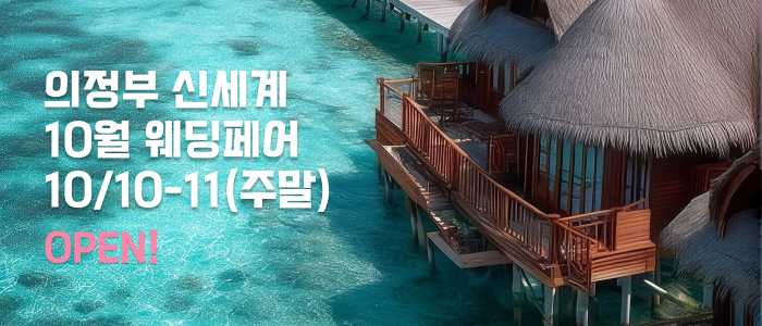 의정부 더셜리 허니문페어 대표 이미지